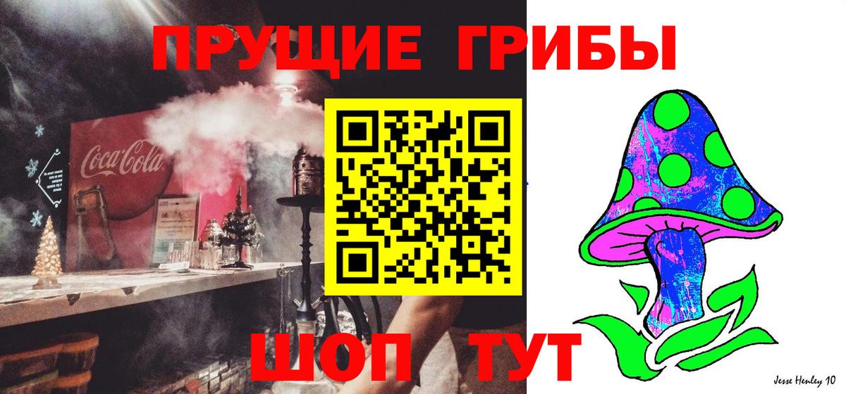 Псилоцибиновые грибы MAGIC MUSHROOMS Зеленодольск