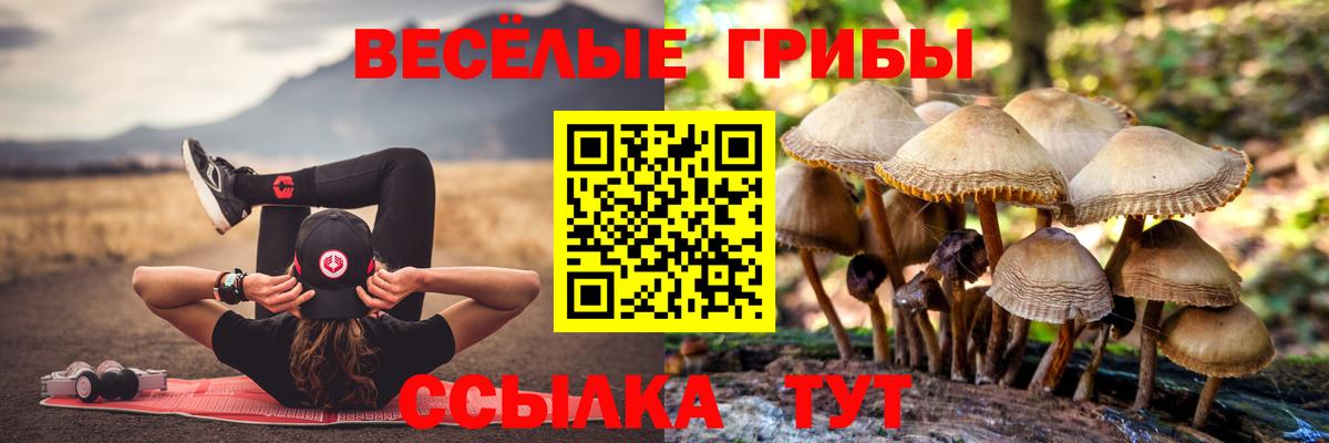 Зеленодольск  Псилоцибиновые грибы Psilocybe  Вход с VPN 